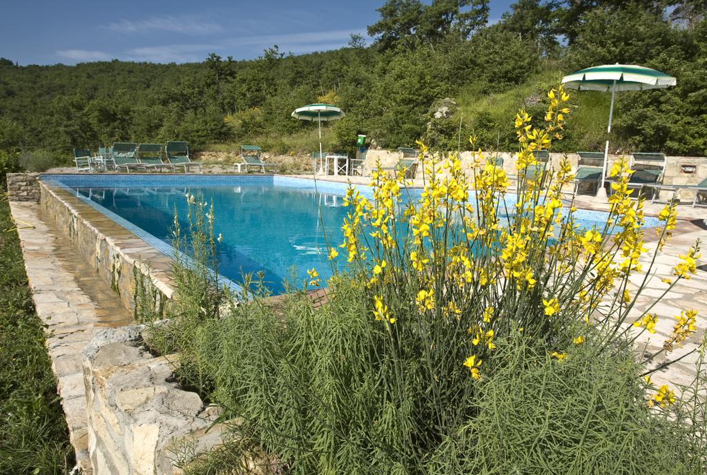 Borgo Le Noci Chianti Retreat & Pool Hotel Джайоле ин Кианти Екстериор снимка
